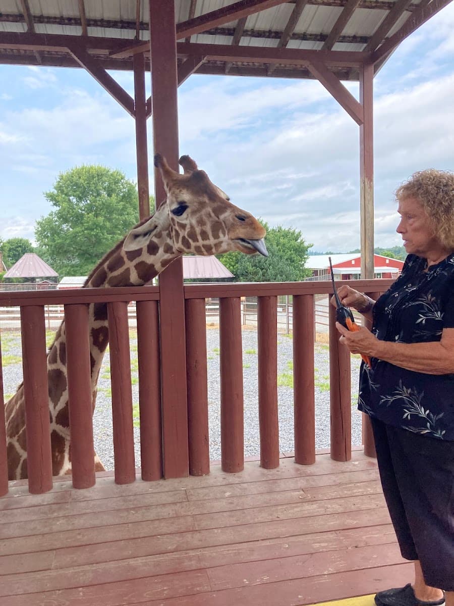 Brights Zoo — photo 1 of 1