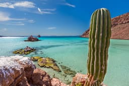 Todos Santos Day Trip