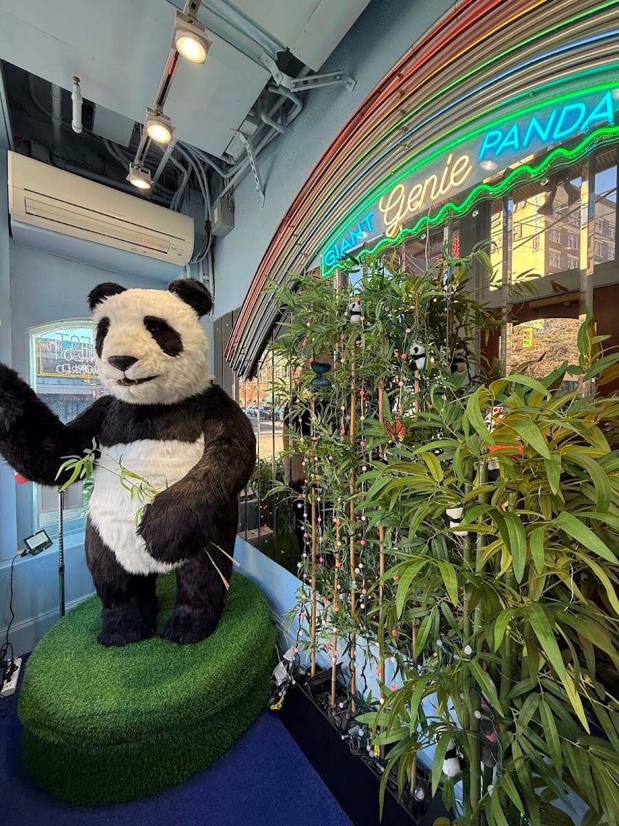 Jack Chow Giant Panda Habitat