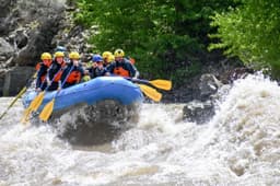 Flying Pig Adventures Yellowstone Whitewater Rafting