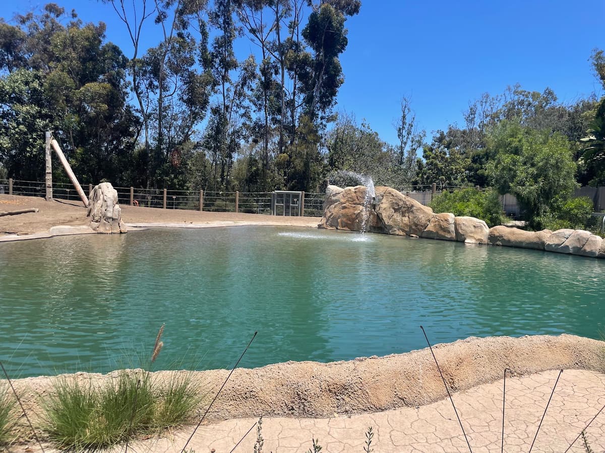 Elephant Odyssey — photo 1 of 1