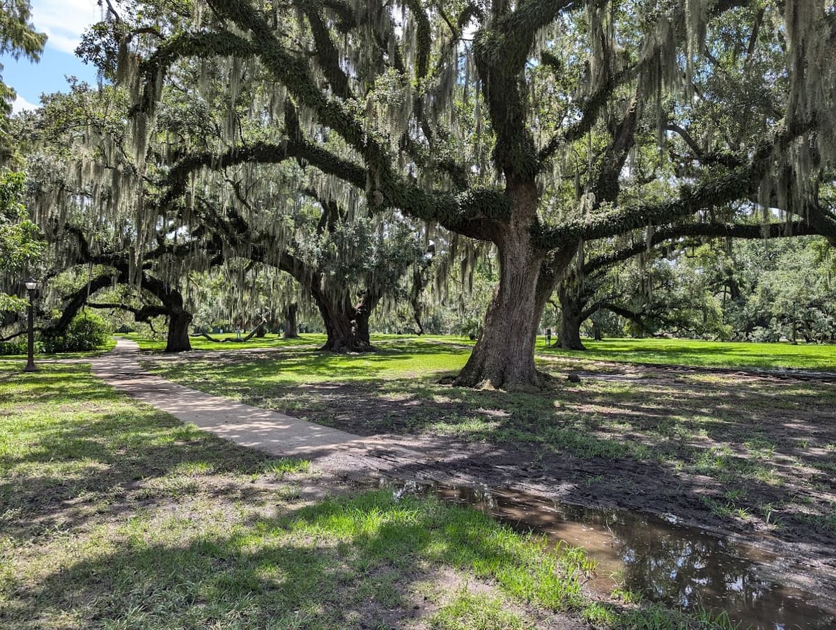 New Orleans City Park — photo 1 of 1