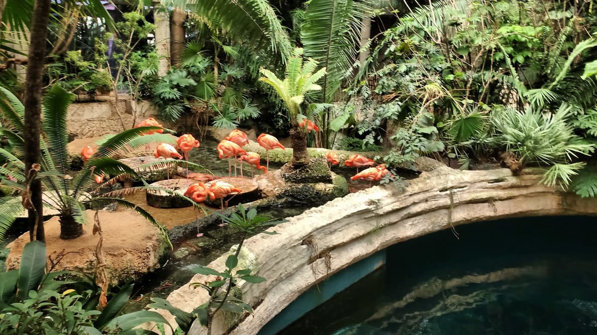 The Dallas World Aquarium — photo 1 of 1