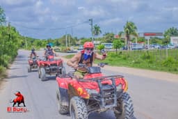 El buey Tours Famous For Excursions in punta cana