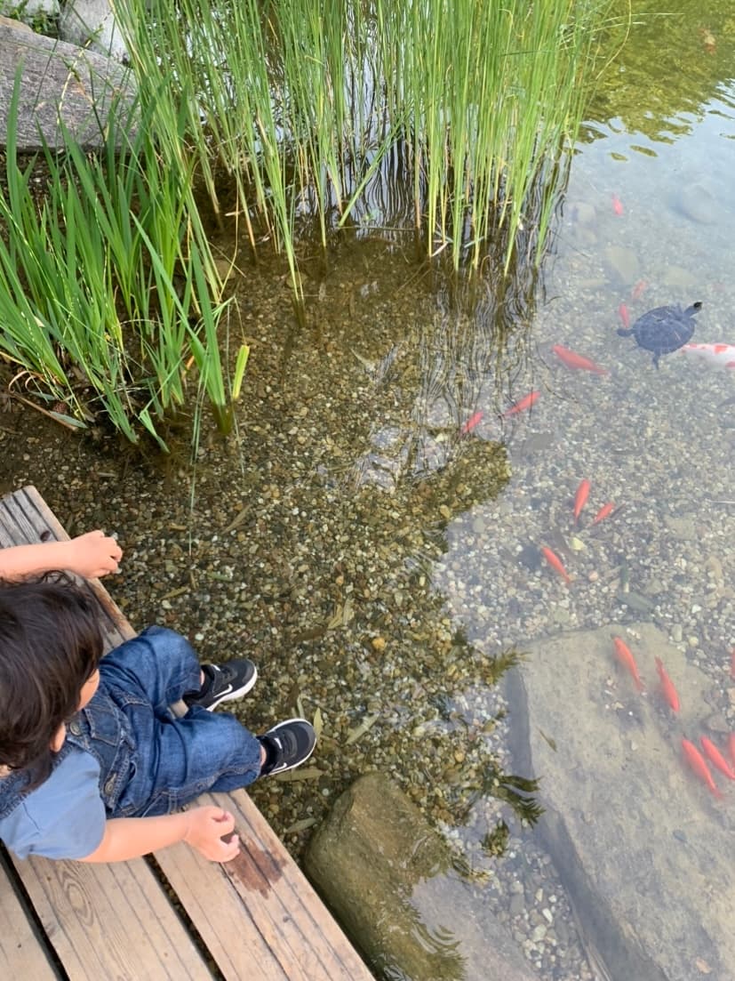 Playground in Paradise Garden Park