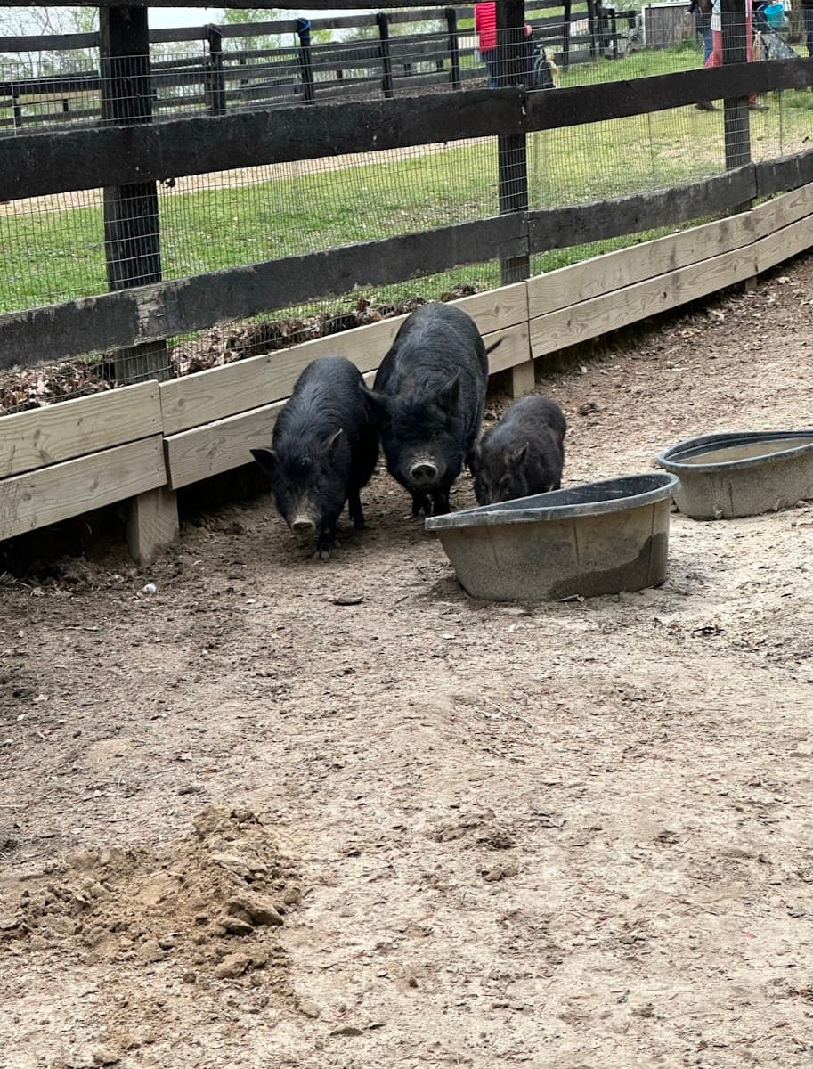 Bel Laurel Farm — photo 1 of 1