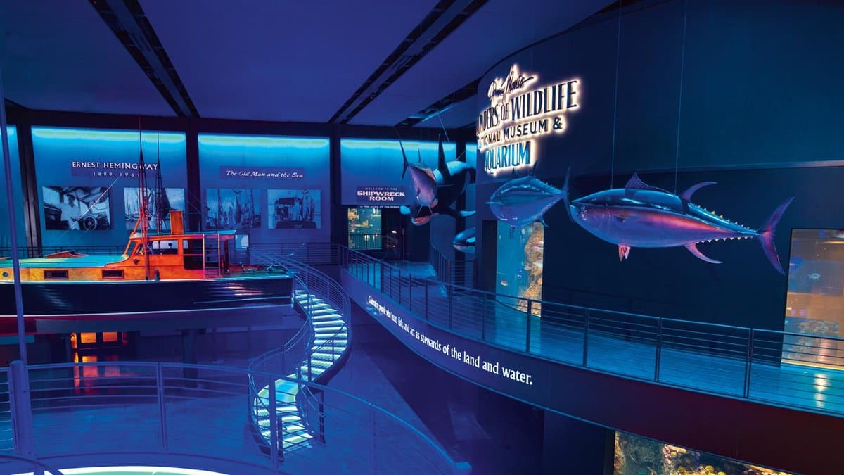 Wonders Of Wildlife National Museum & Aquarium