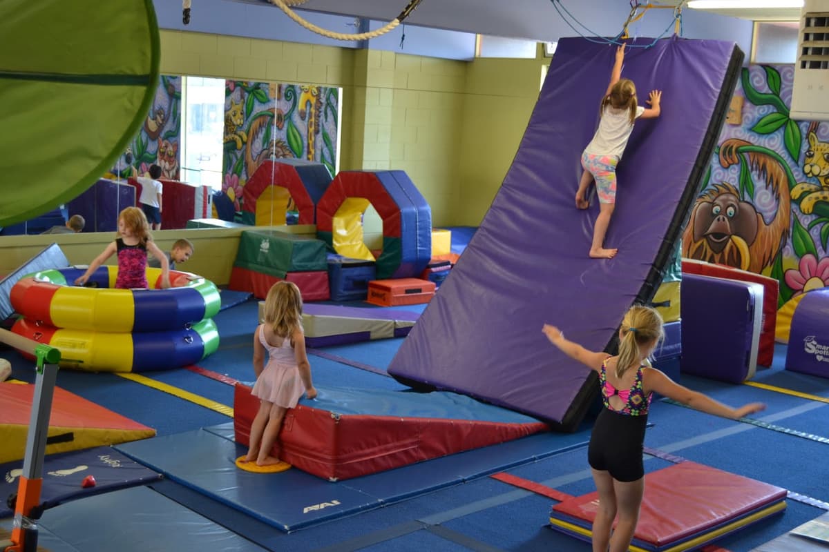 The Jungle Gym — photo 1 of 1