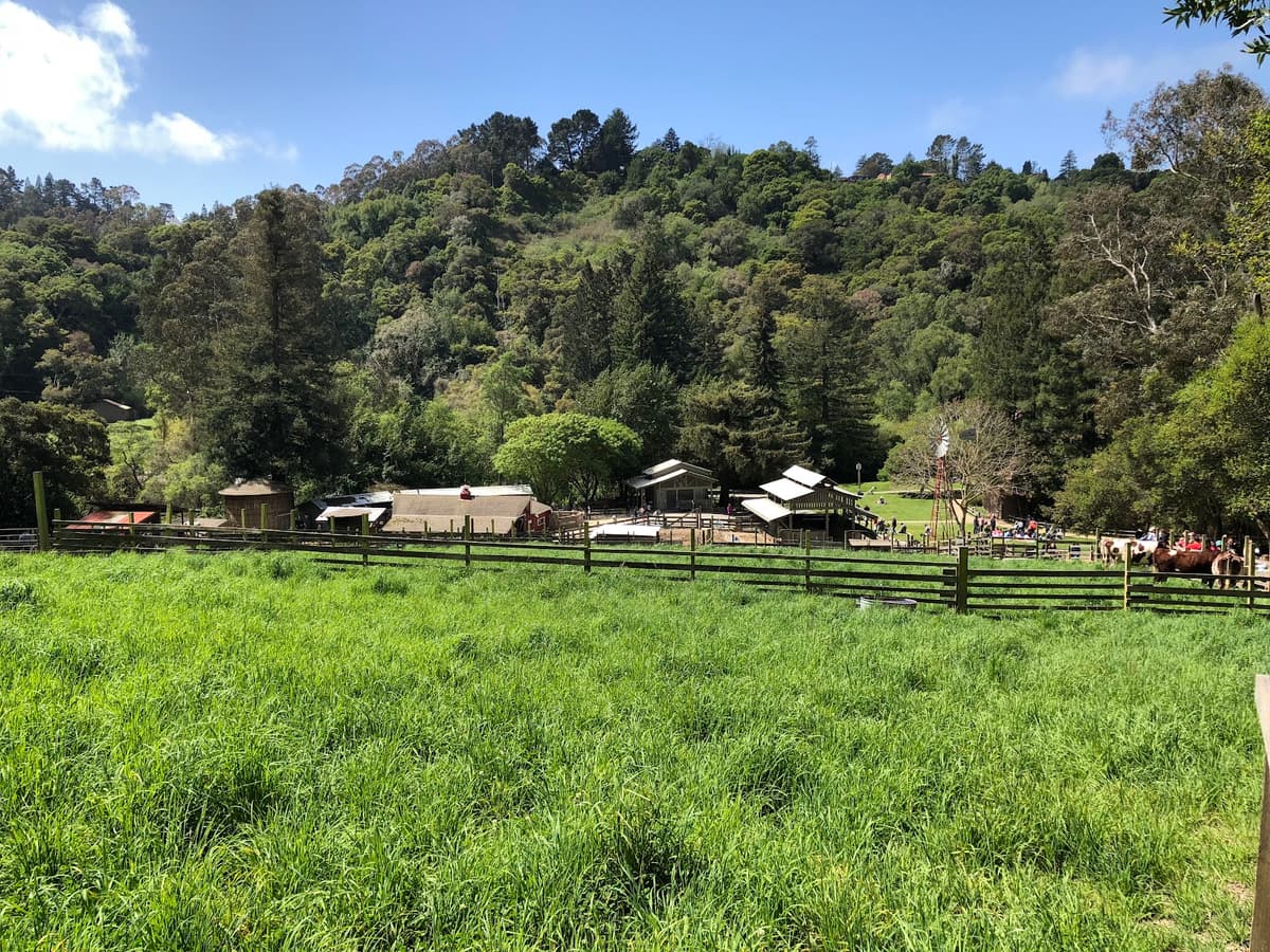 Tilden Nature Area — photo 1 of 1