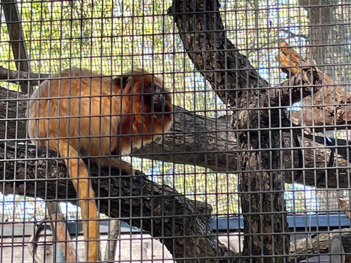 Micke Grove Zoo — photo 1 of 1