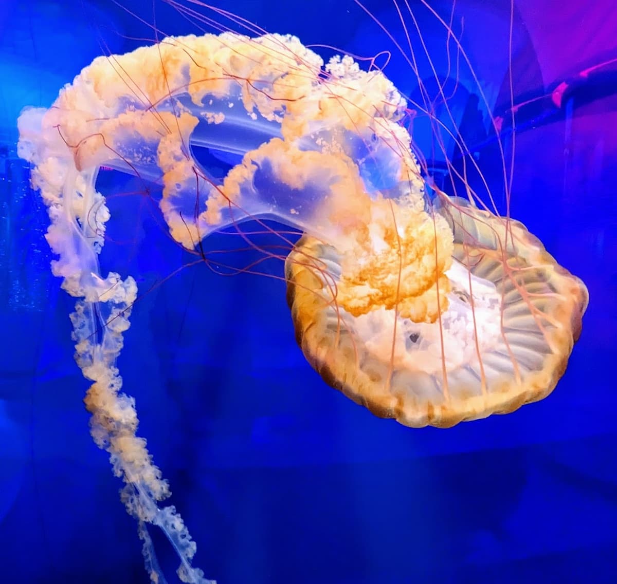 North Carolina Aquarium on Roanoke Island — photo 1 of 1