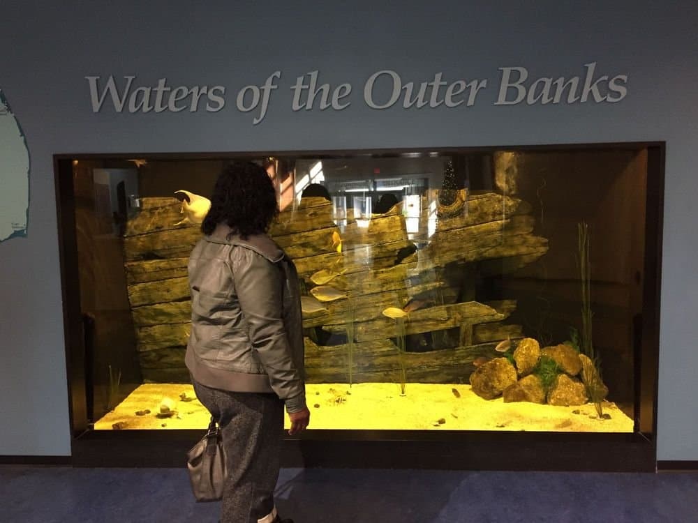 North Carolina Aquarium on Roanoke Island — photo 1 of 2