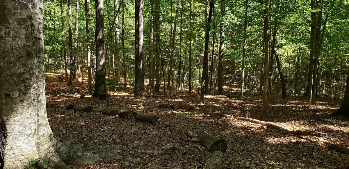 Outdoor Activity Center — photo 1 of 1