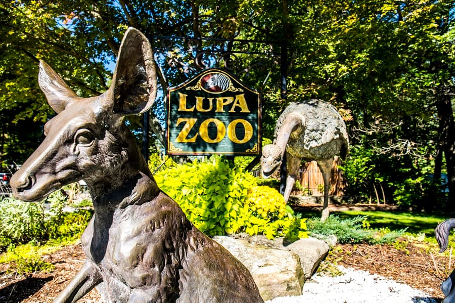 Lupa Zoo