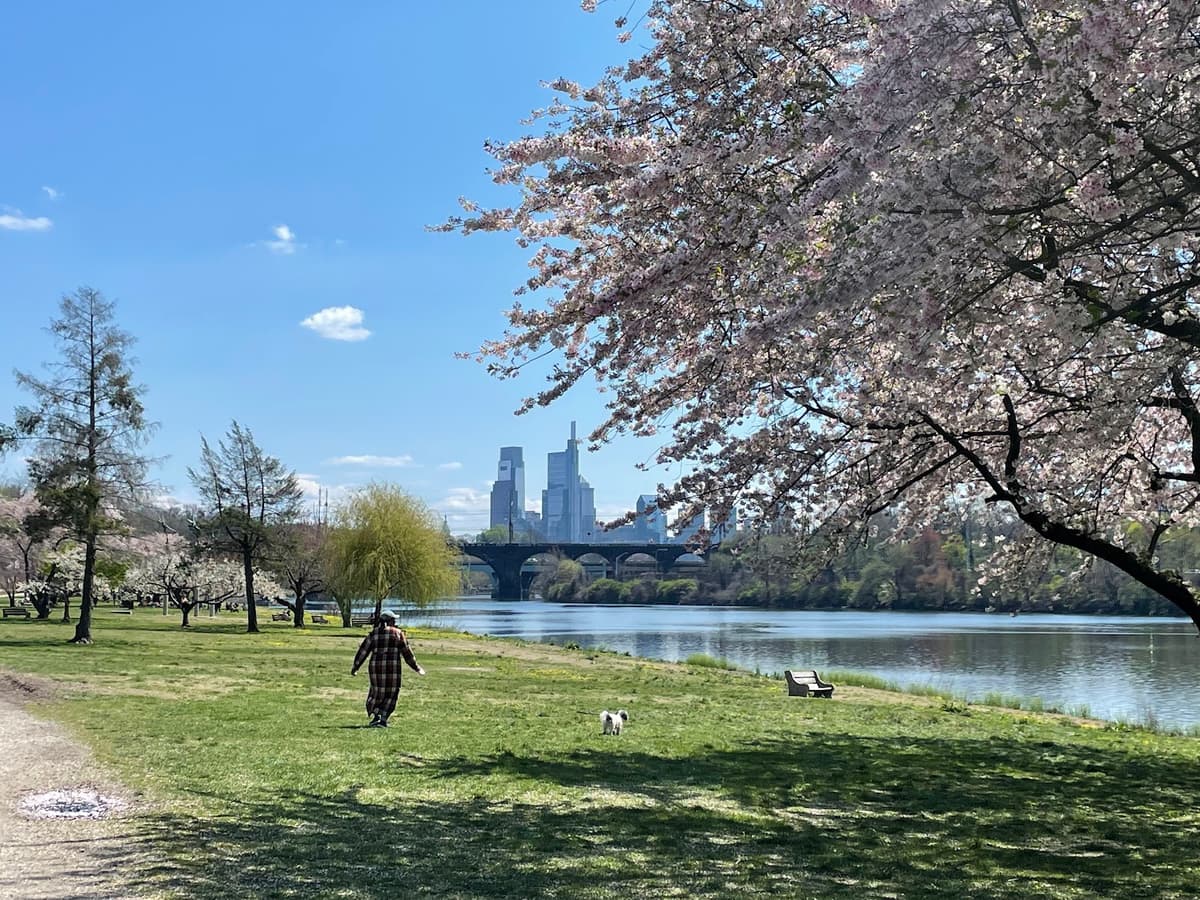 East Fairmount Park — photo 1 of 1