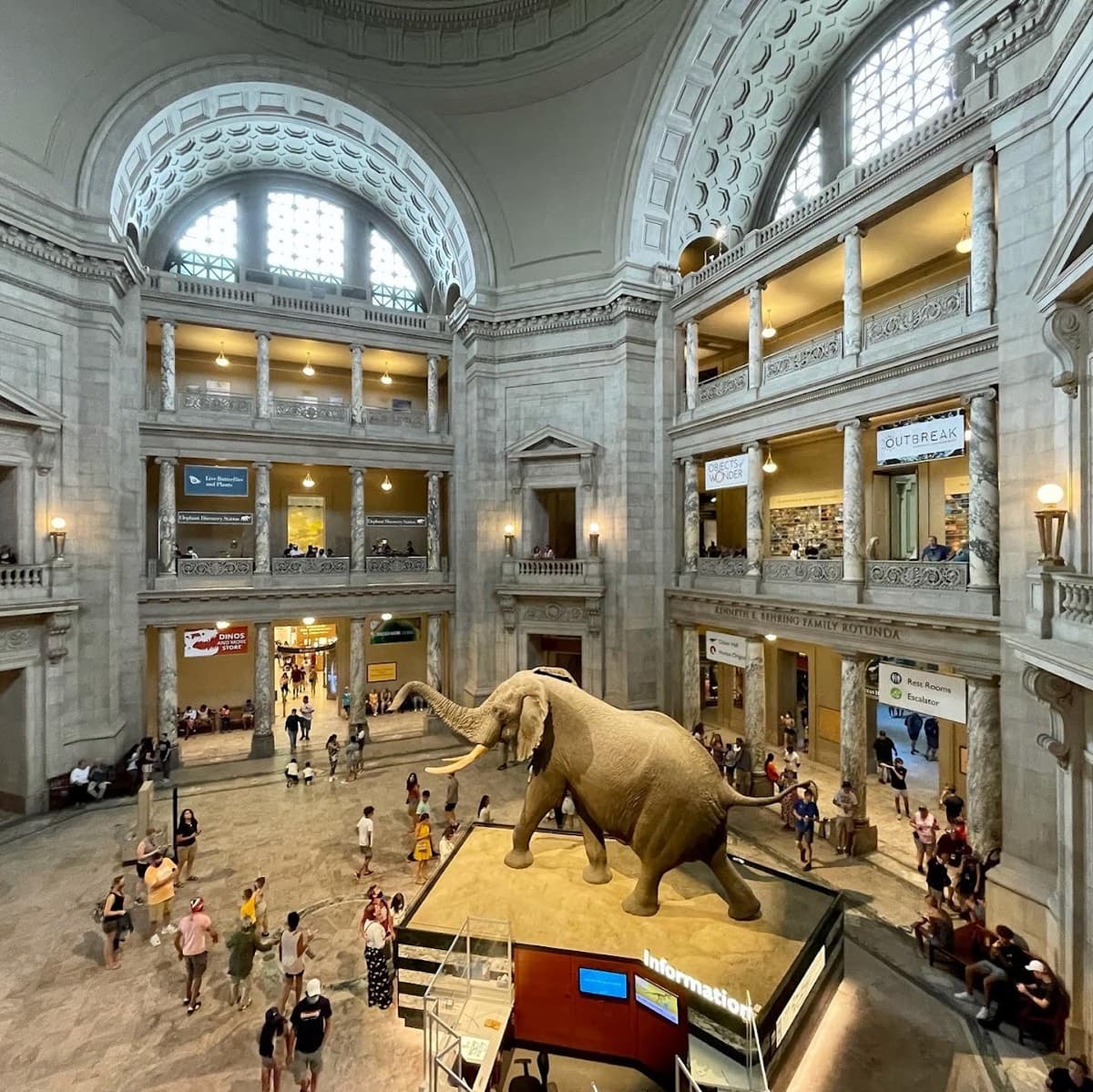 National Museum of Natural History