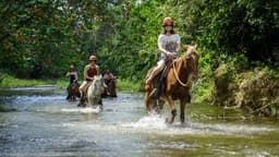 Punta Cana Jeep Safari Tours