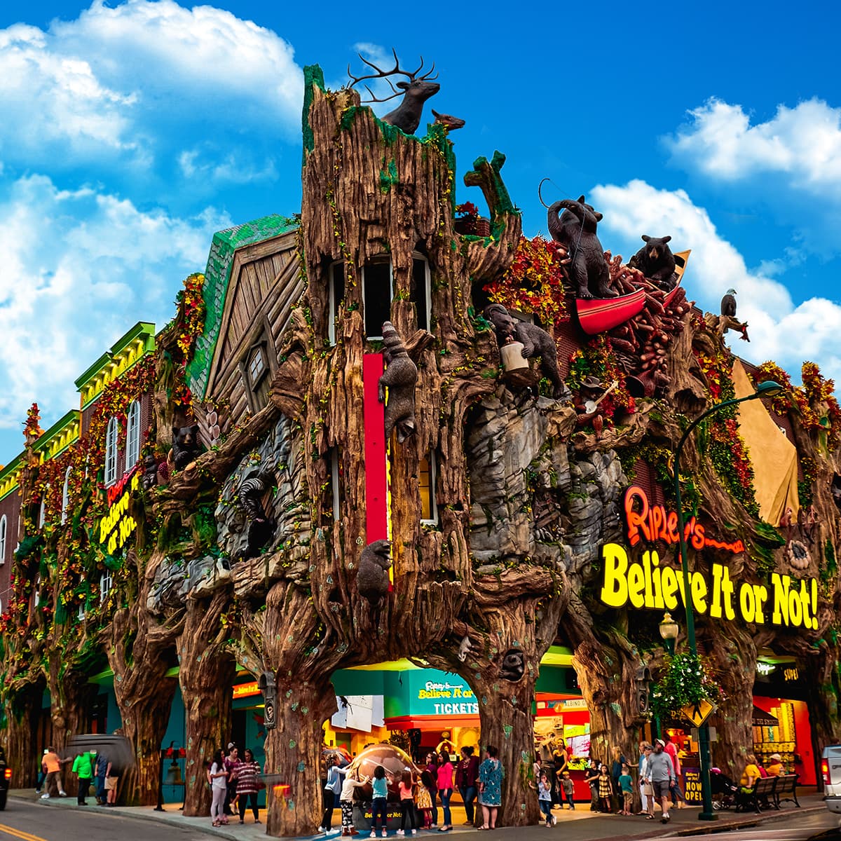 Ripley's Believe It or Not! — photo 1 of 1