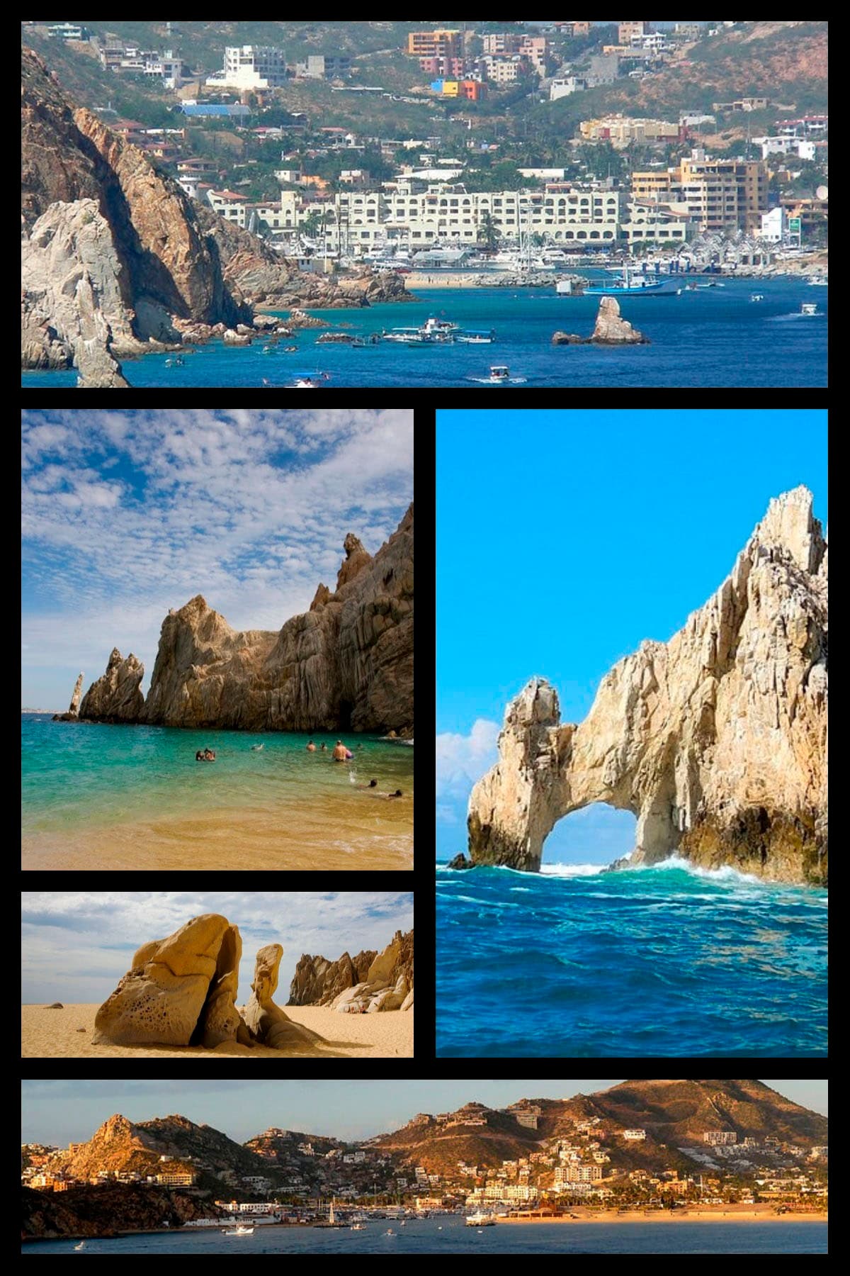 Cabo Ocean Life