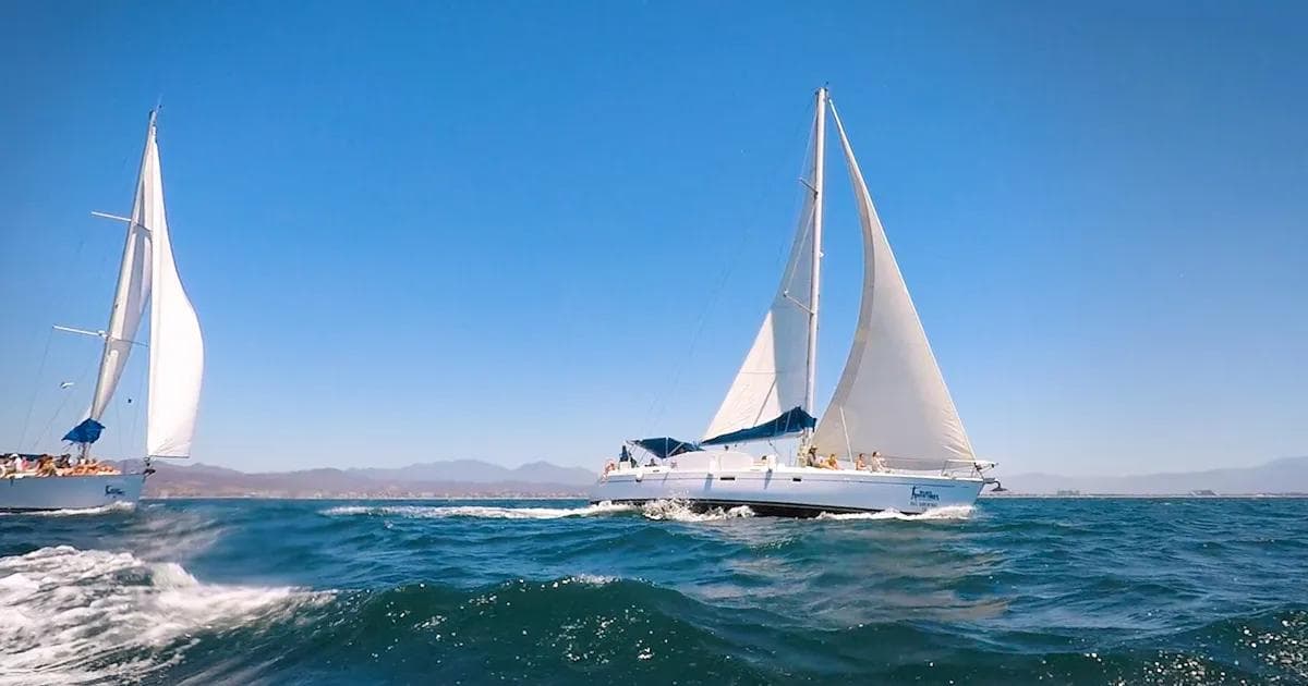 Cabo Dolphins Cabo San Lucas