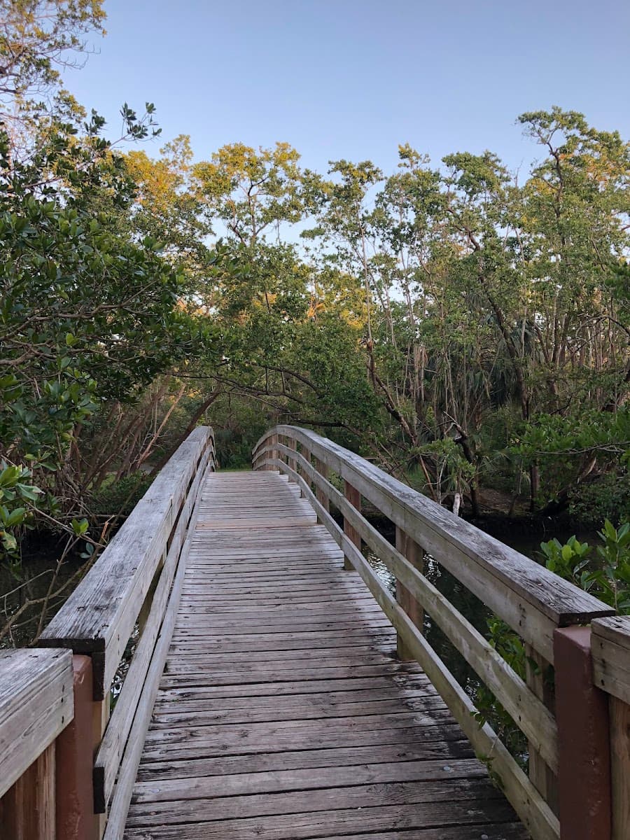 Enchanted Forest Elaine Gordon Park — photo 1 of 1