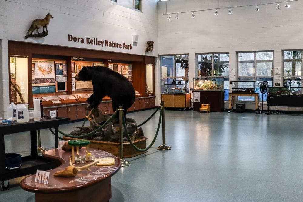 Jerome "Buddie" Ford Nature Center