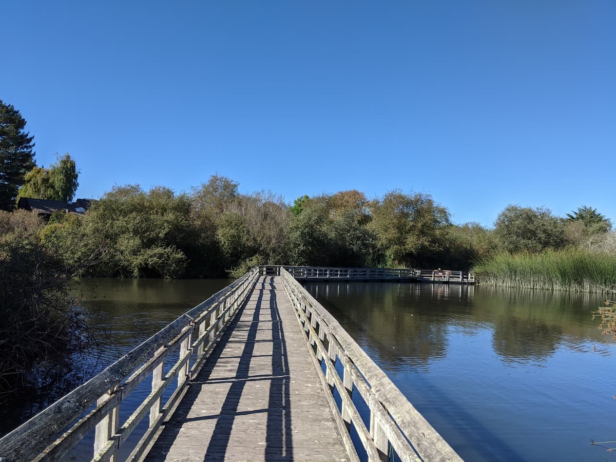 Neary Lagoon Wildlife Refuge
