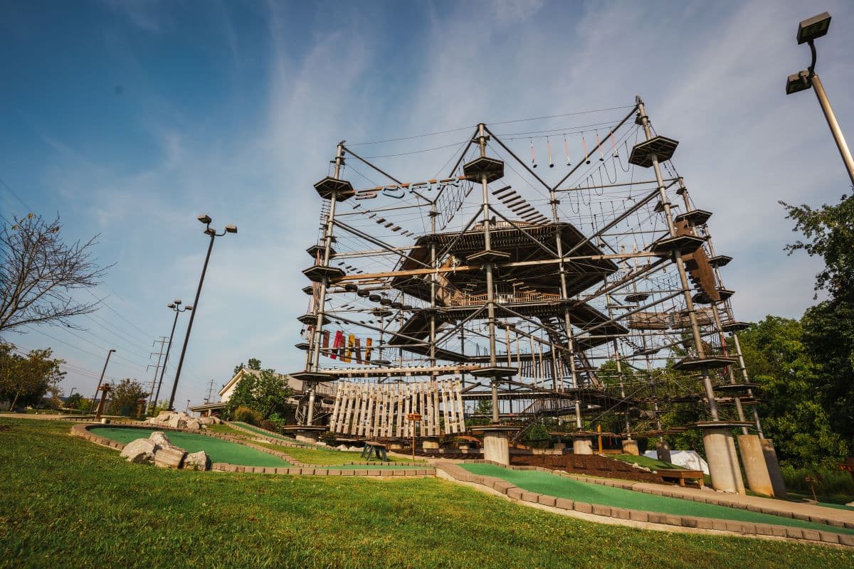 SOAR Adventure Tower — photo 1 of 1