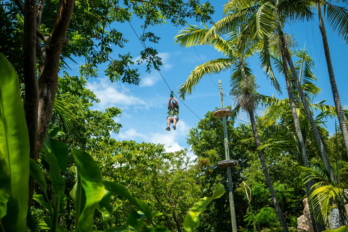 Treetop Trekking Miami