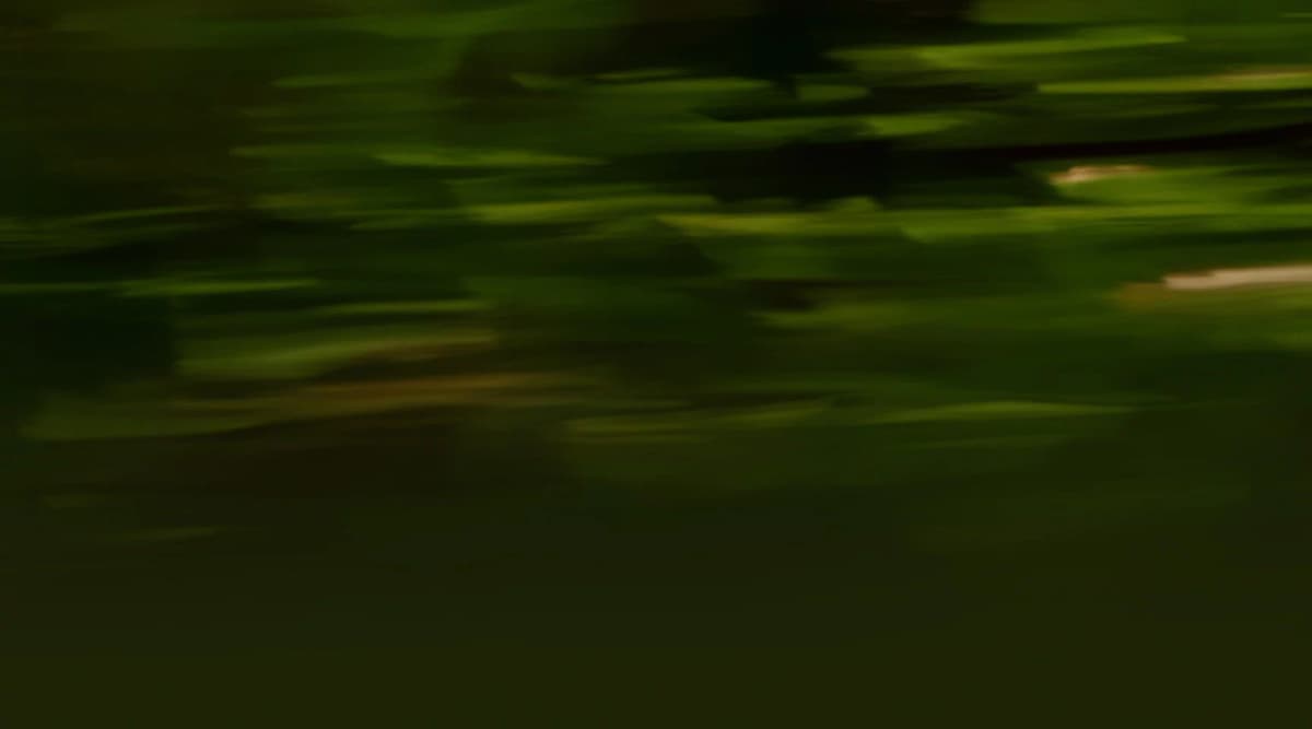 Skyline Hawaii - Kaanapali Maui Zipline