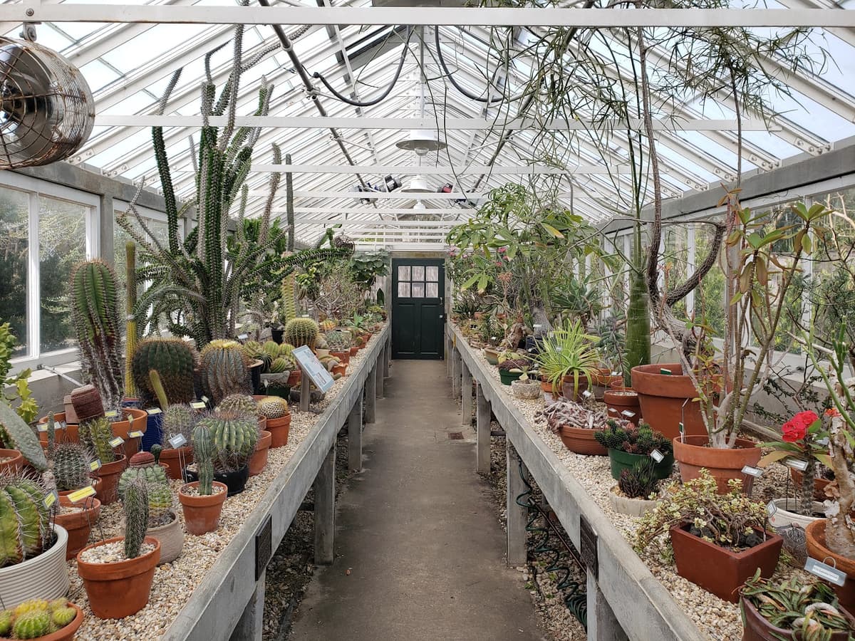 New Orleans Botanical Garden — photo 1 of 1