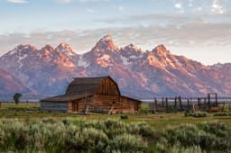 Grizzly Country Wildlife Adventures