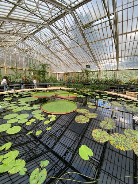 Waterlily House
