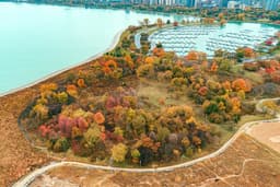 Montrose Point Bird Sanctuary