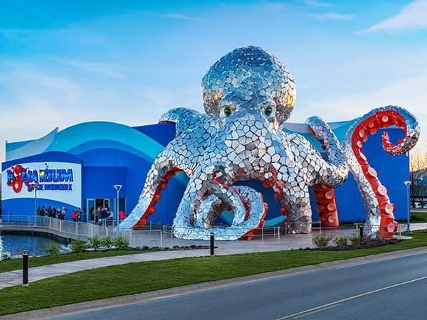 Aquarium at the Boardwalk