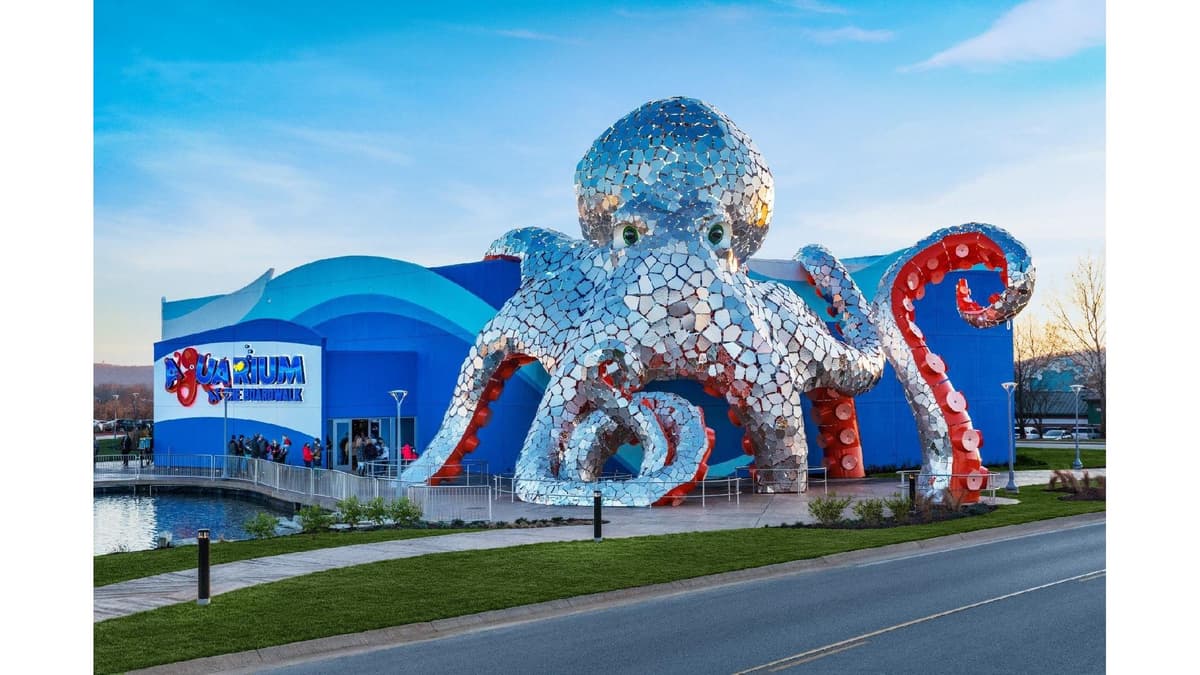 Aquarium at the Boardwalk — photo 1 of 1