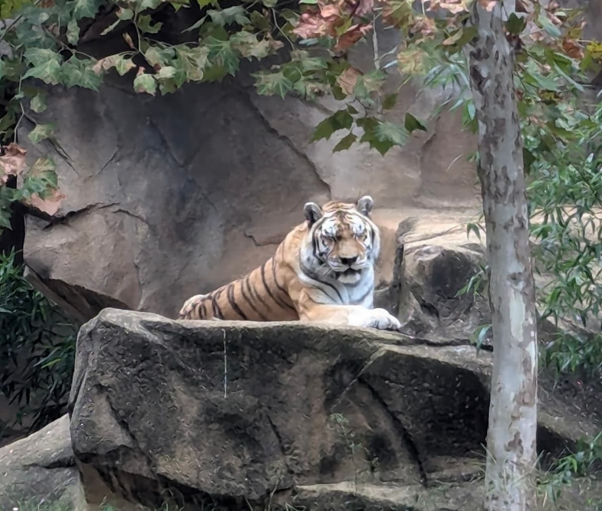 Riverbanks zoo — photo 1 of 1