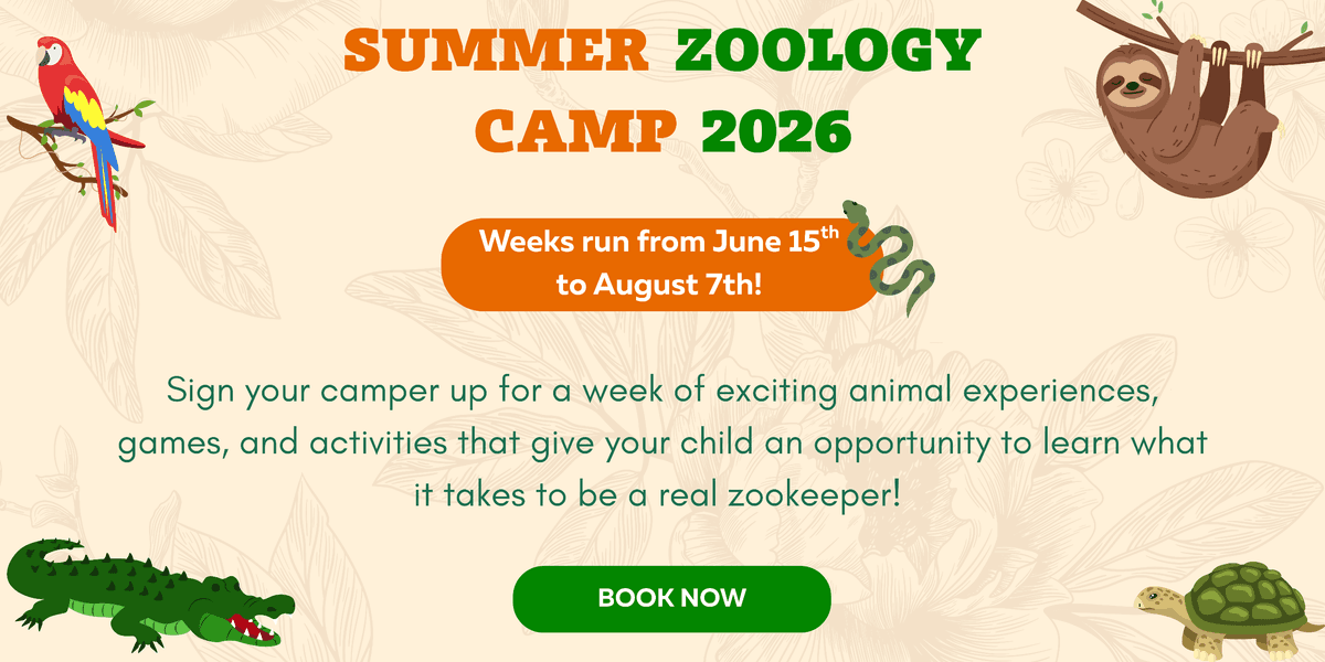 Wildlife Learning Center