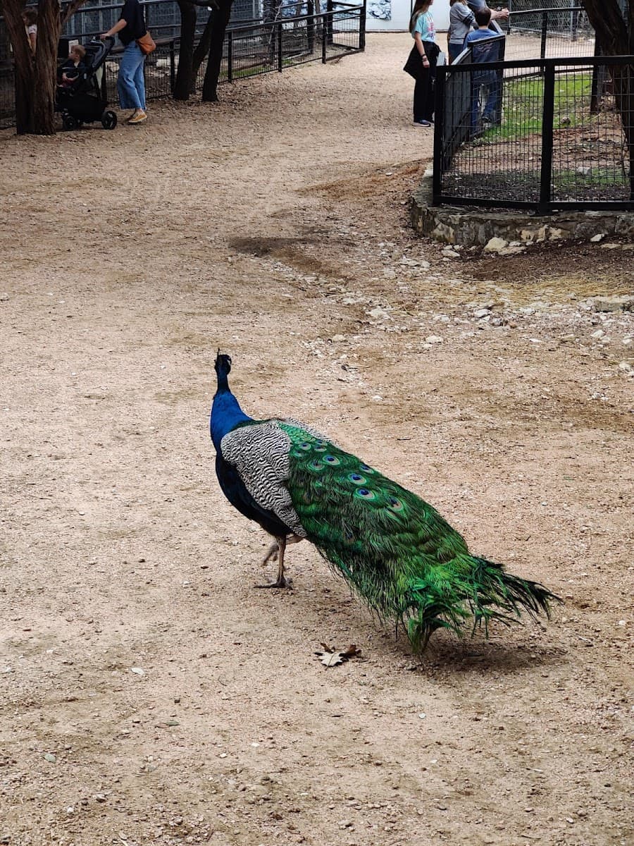 Austin Zoo — photo 1 of 1