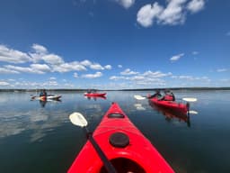 Acadia Sea Kayaking Adventures