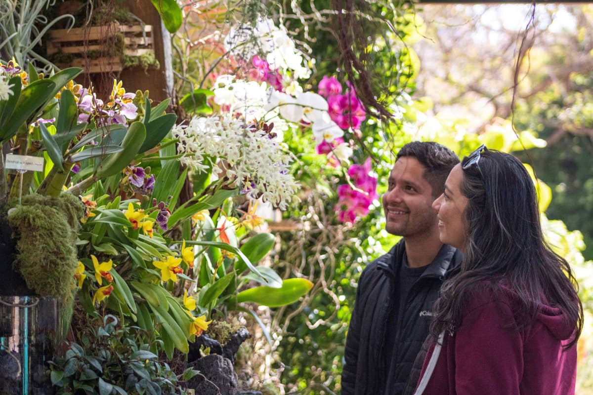 San Diego Botanic Garden