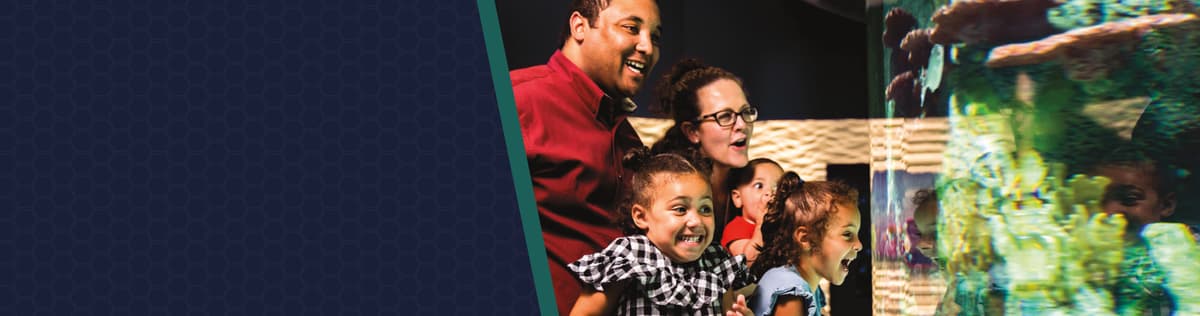 Cook Museum of Natural Science