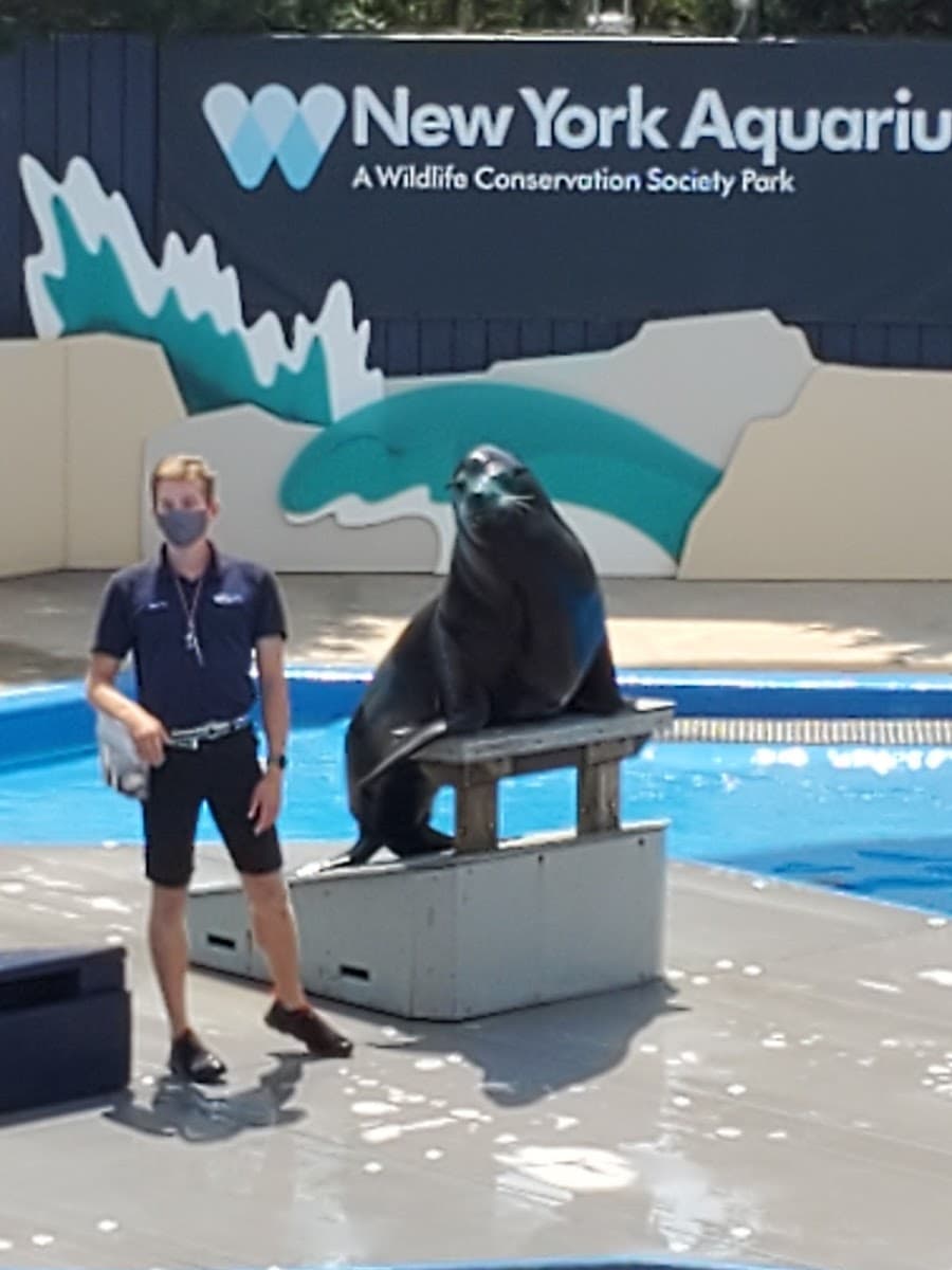 New York Aquarium Education Department — photo 1 of 1