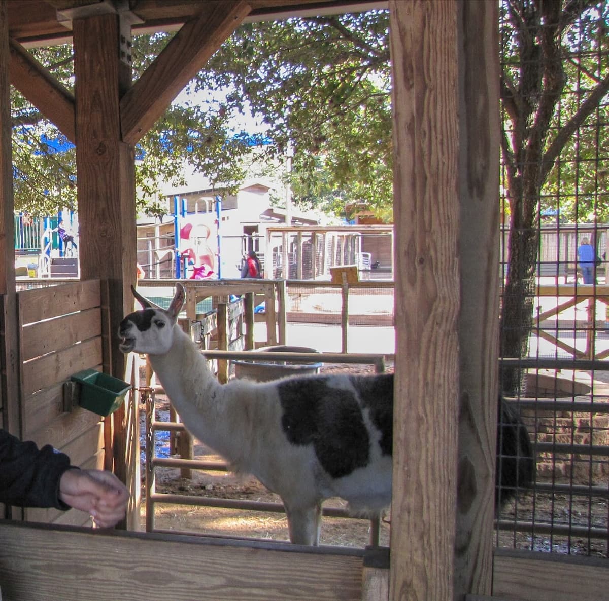 John P. McGovern Children's Zoo — photo 1 of 1