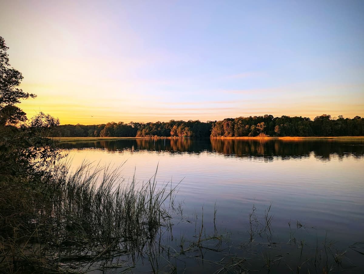 New Quarter Park — photo 1 of 1