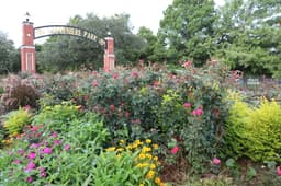 Lafreniere Park