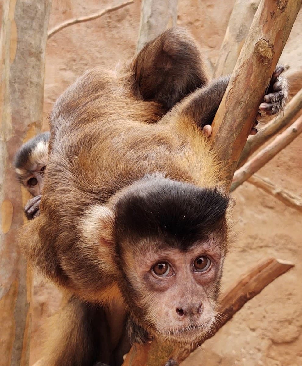 Rainforest Adventures Zoo — photo 1 of 1