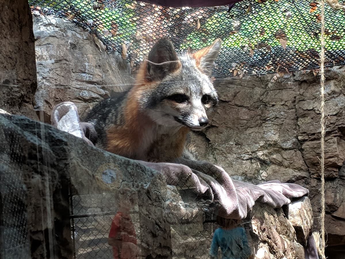 CuriOdyssey — photo 1 of 1