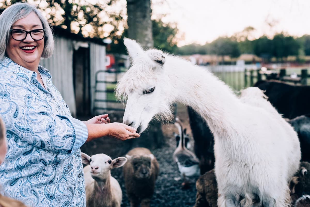 Lucky Ladd Farms - Farm Park & Zoo — photo 1 of 1