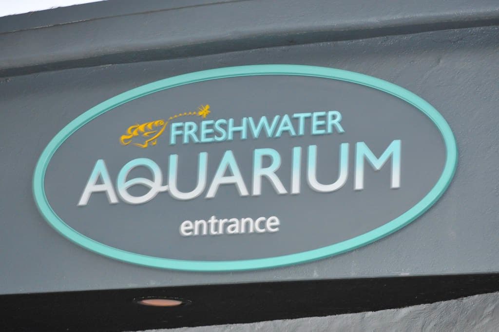 Freshwater Aquarium